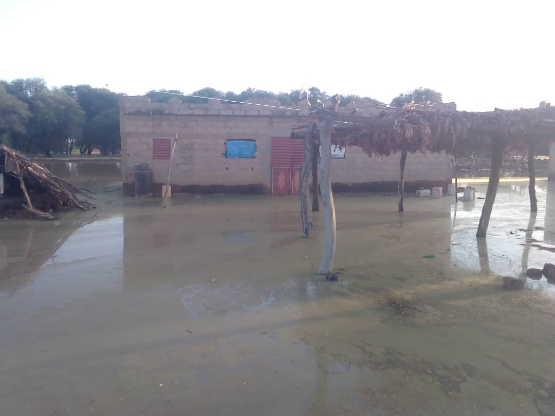 Débordements du fleuve  – Podor : des familles chassées par les eaux à Guédé Wouro